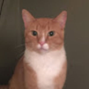 Meet your Posher, Katherine